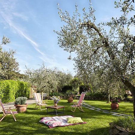 Podere La Casuccia Malmantile Oda fotoğraf
