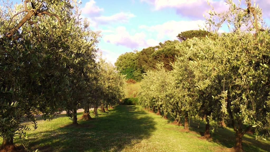 Podere La Casuccia Malmantile Oda fotoğraf