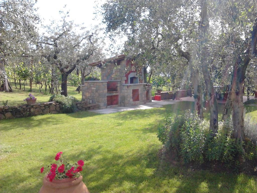 Podere La Casuccia Malmantile Oda fotoğraf